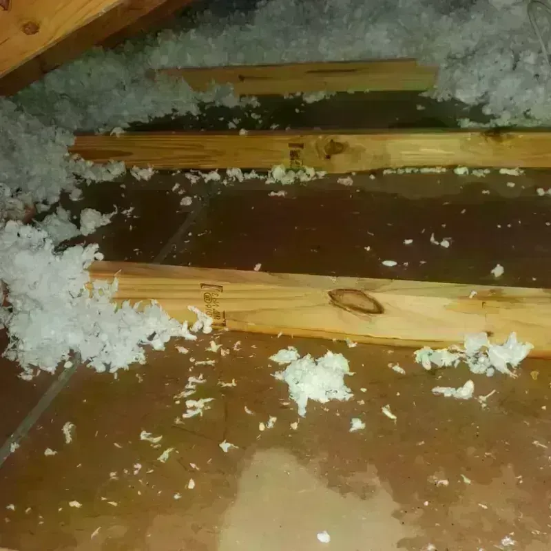 Attic Water Damage in Winchester, CA