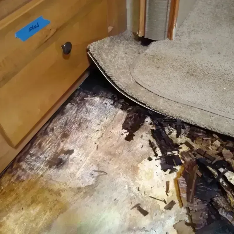 Best Wood Floor Water Damage Service in Winchester, CA